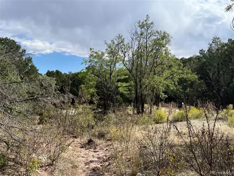 County Rd 531, Gardner, CO 81040 photo 12