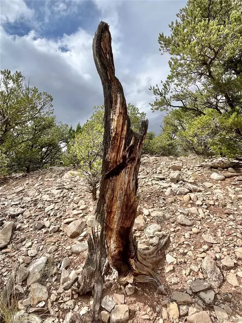 County Rd 531, Gardner, CO 81040 photo 23