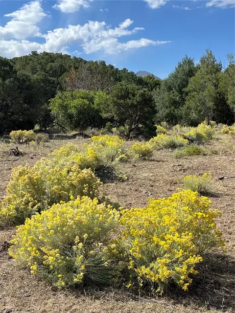 County Rd 531, Gardner, CO 81040 photo 8