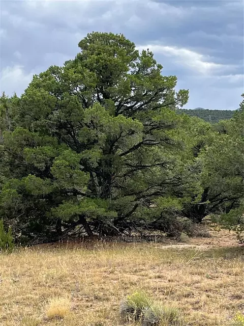 County Rd 531, Gardner, CO 81040 photo 22