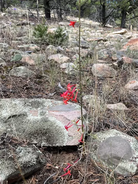 County Rd 531, Gardner, CO 81040 photo 10