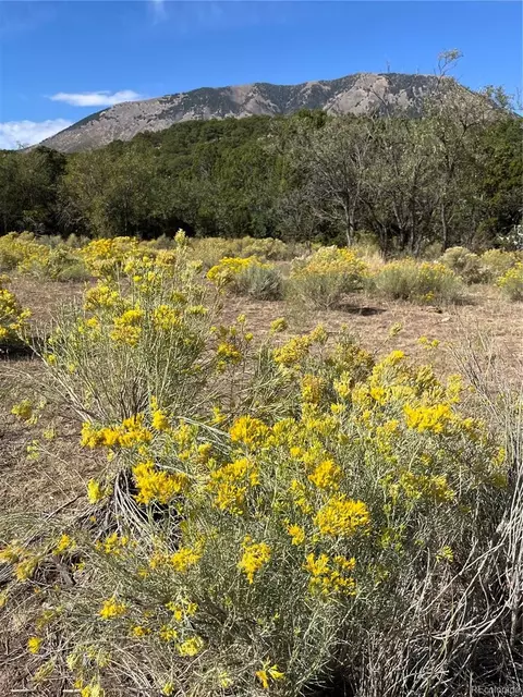 County Rd 531, Gardner, CO 81040 photo 7