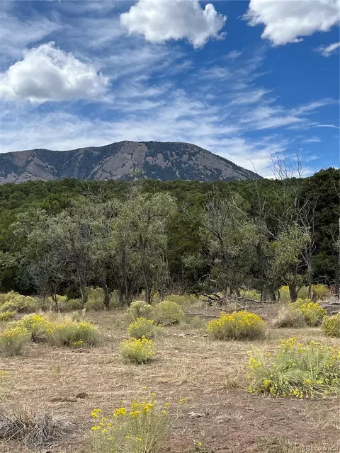 County Rd 531, Gardner, CO 81040 photo 20