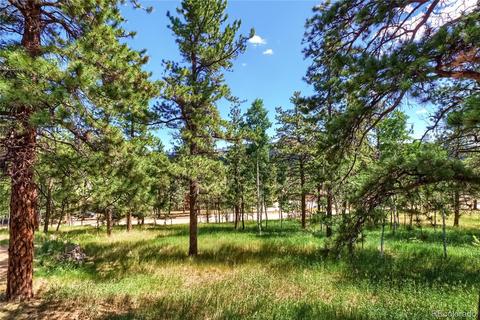 126 Crestview Ln, Bailey, CO 80421 photo 22