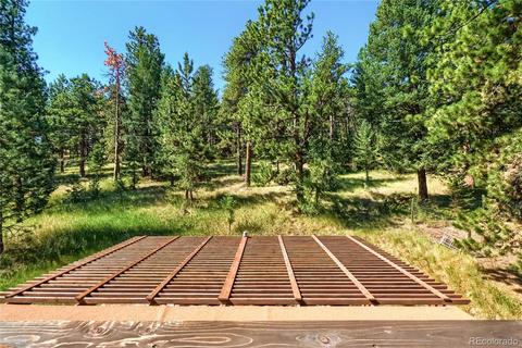 126 Crestview Ln, Bailey, CO 80421 photo 21