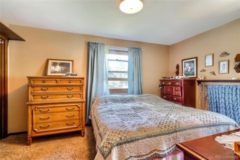 126 Crestview Ln, Bailey, CO 80421 photo 10