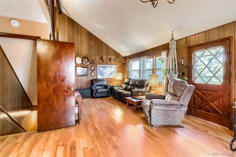 126 Crestview Ln, Bailey, CO 80421 photo 3
