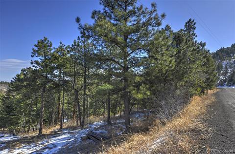 19971 Cypress Dr, Morrison, CO 80465 photo 14