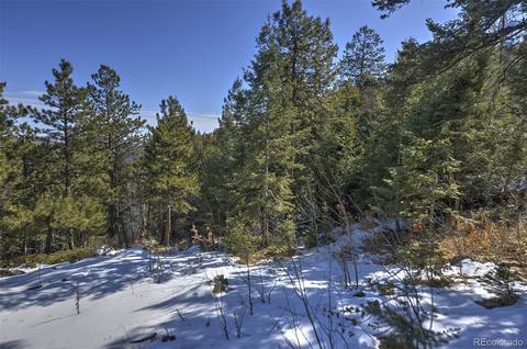 19971 Cypress Dr, Morrison, CO 80465 photo 19