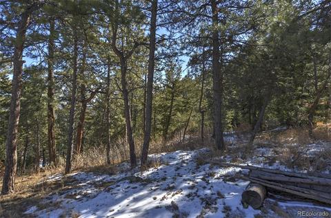 19971 Cypress Dr, Morrison, CO 80465 photo 3