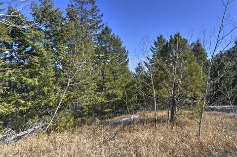 19971 Cypress Dr, Morrison, CO 80465 photo 16