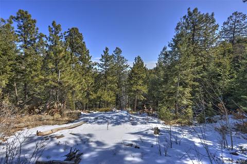 19971 Cypress Dr, Morrison, CO 80465 photo 20