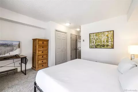 1473 E Keystone Rd #2928, Dillon, CO 80435 photo 12