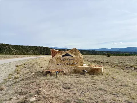 14973 Chalk Creek Dr, Nathrop, CO 81236