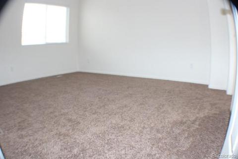 18645 E 43rd Pl, Denver, CO 80249 photo 25
