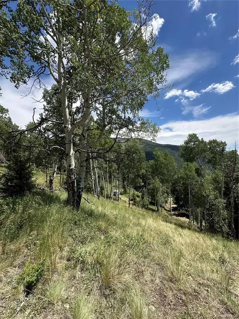 Calkins, Jasper, CO 81132 photo 8