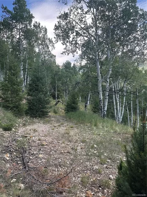 Calkins, Jasper, CO 81132 photo 5
