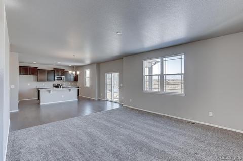 5564 Sageleaf Ct, Brighton, CO 80601 photo 3