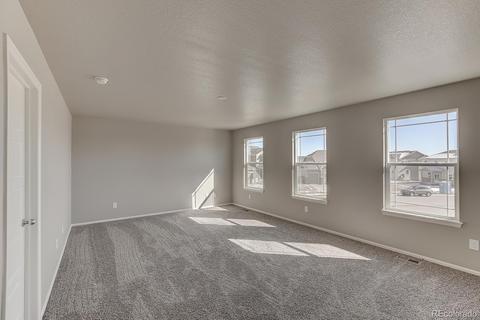 5564 Sageleaf Ct, Brighton, CO 80601 photo 10