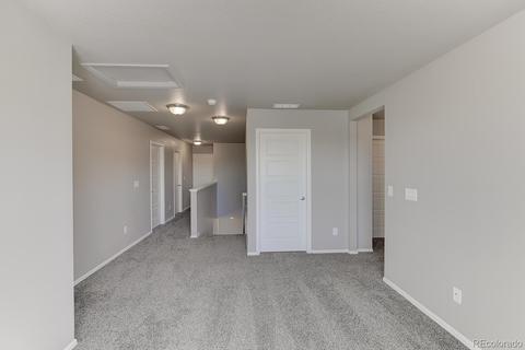 5564 Sageleaf Ct, Brighton, CO 80601 photo 8