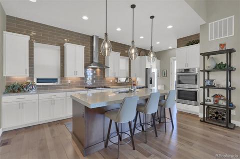 10117 Bellwether Ln, Lone Tree, CO 80124 photo 9