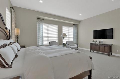 10117 Bellwether Ln, Lone Tree, CO 80124 photo 17