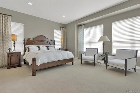 10117 Bellwether Ln, Lone Tree, CO 80124 photo 16