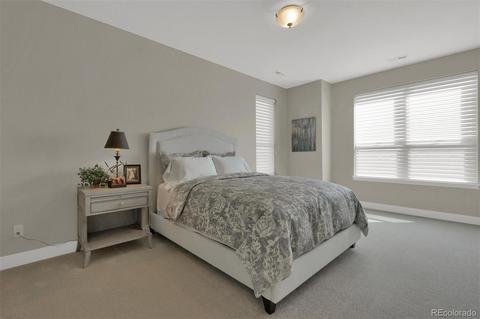10117 Bellwether Ln, Lone Tree, CO 80124 photo 25