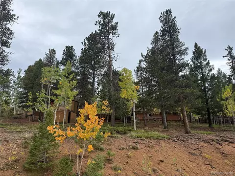 Exterior - 364 Stage Coach Dr, Bailey, CO 80421 photo 13 of 14