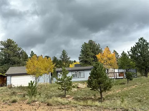Exterior - 364 Stage Coach Dr, Bailey, CO 80421 photo 2 of 17