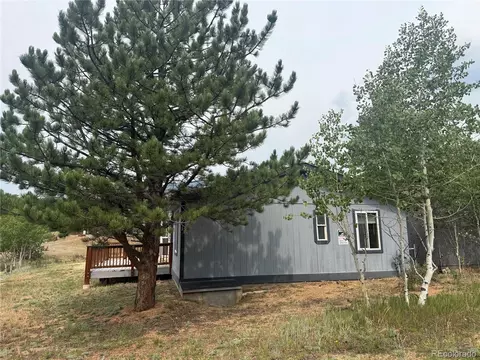 Other - 364 Stage Coach Dr, Bailey, CO 80421 photo 17 of 21