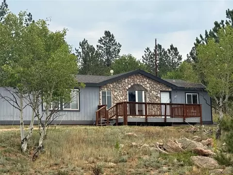 Exterior - 364 Stage Coach Dr, Bailey, CO 80421 photo 10 of 10