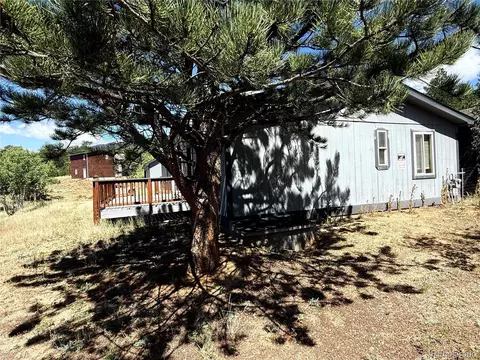 Other - 364 Stage Coach Dr, Bailey, CO 80421 photo 3 of 21