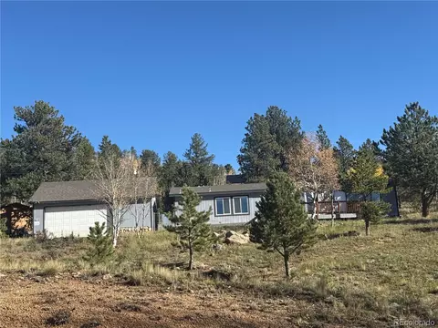 Exterior - 364 Stage Coach Dr, Bailey, CO 80421 photo 18 of 18