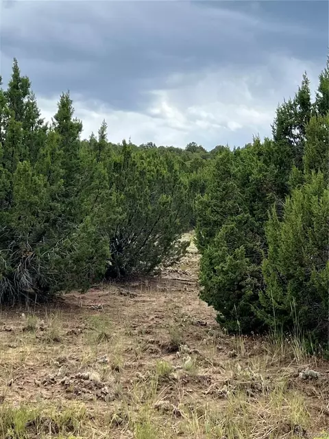 Sunrise Road, Walsenburg, CO 81089