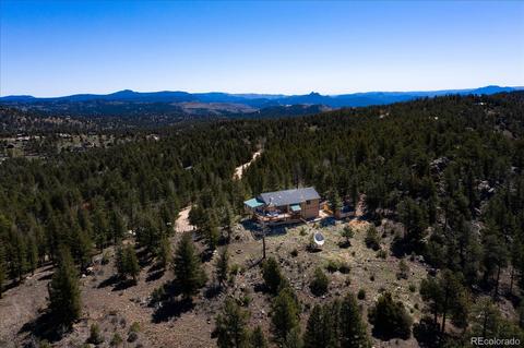 176 Mount Bailey Dr, Bailey, CO 80421 photo 4
