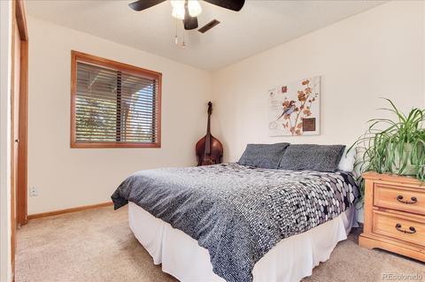 176 Mount Bailey Dr, Bailey, CO 80421 photo 29