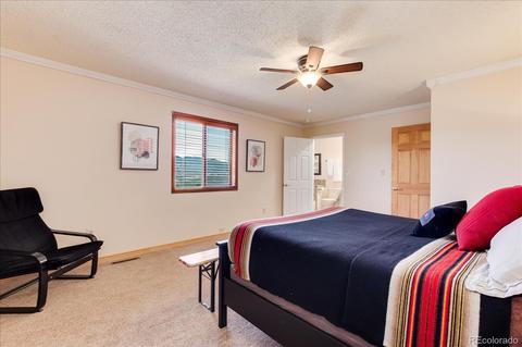 176 Mount Bailey Dr, Bailey, CO 80421 photo 24