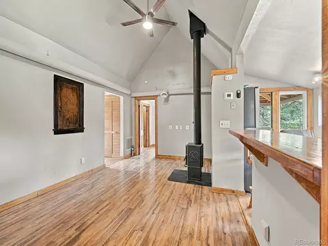 Living - 23803 Logan Ave, Pine, CO 80470 photo 3 of 3