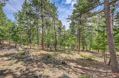 4501 County Road 72, Bailey, CO 80421 photo 11
