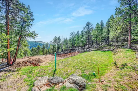 4501 County Road 72, Bailey, CO 80421 photo 7