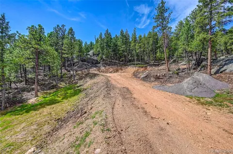 4501 County Road 72, Bailey, CO 80421 photo 6