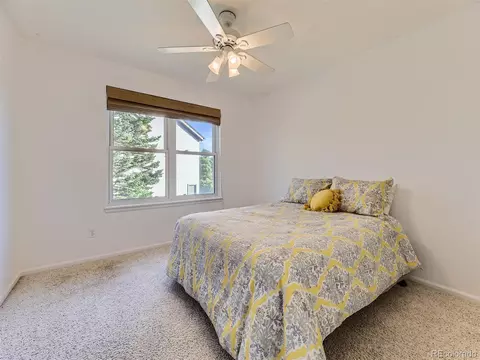 10417 Lions Path, Lone Tree, CO 80124 photo 18