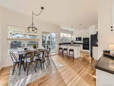 10417 Lions Path, Lone Tree, CO 80124 photo 9