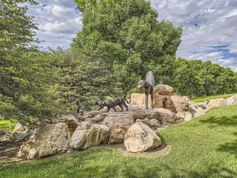 10417 Lions Path, Lone Tree, CO 80124 photo 33