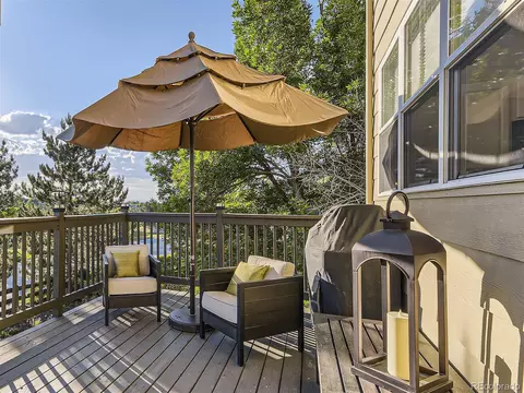 10417 Lions Path, Lone Tree, CO 80124 photo 27