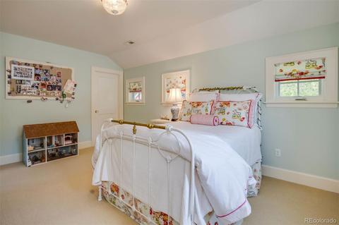 456 N Williams St, Denver, CO 80218 photo 22