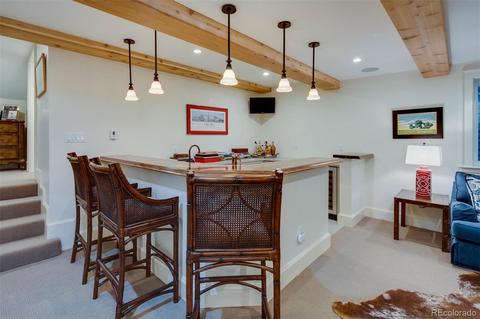 456 N Williams St, Denver, CO 80218 photo 29