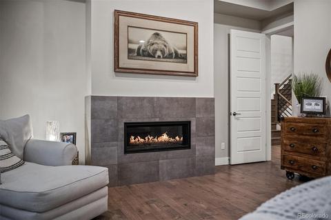 10109 Bellwether Ln, Lone Tree, CO 80124 photo 19