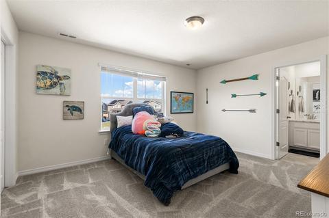 2591 E 163rd Pl, Thornton, CO 80602 photo 24